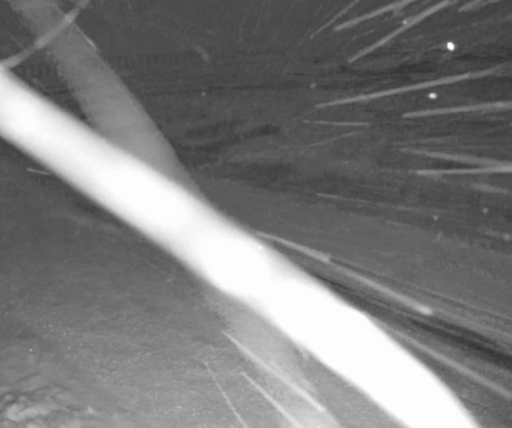 Has anyone got snow yet?