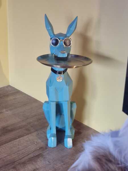 Random items in your home- no explanation!