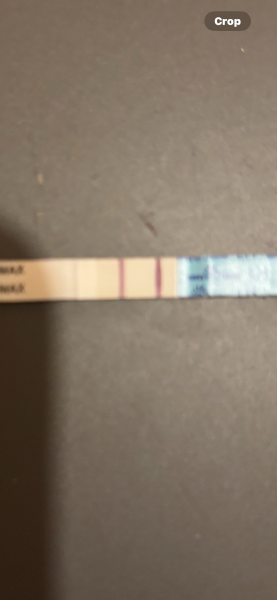 February TTC Support Group