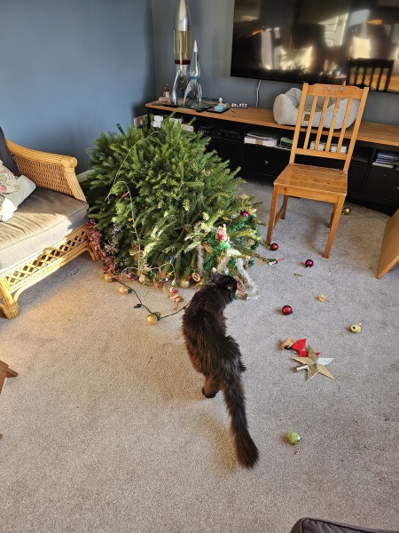 To want to take down Christmas decorations on 31stDec