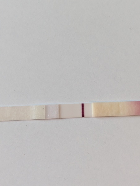 Is this positive neg or evap?