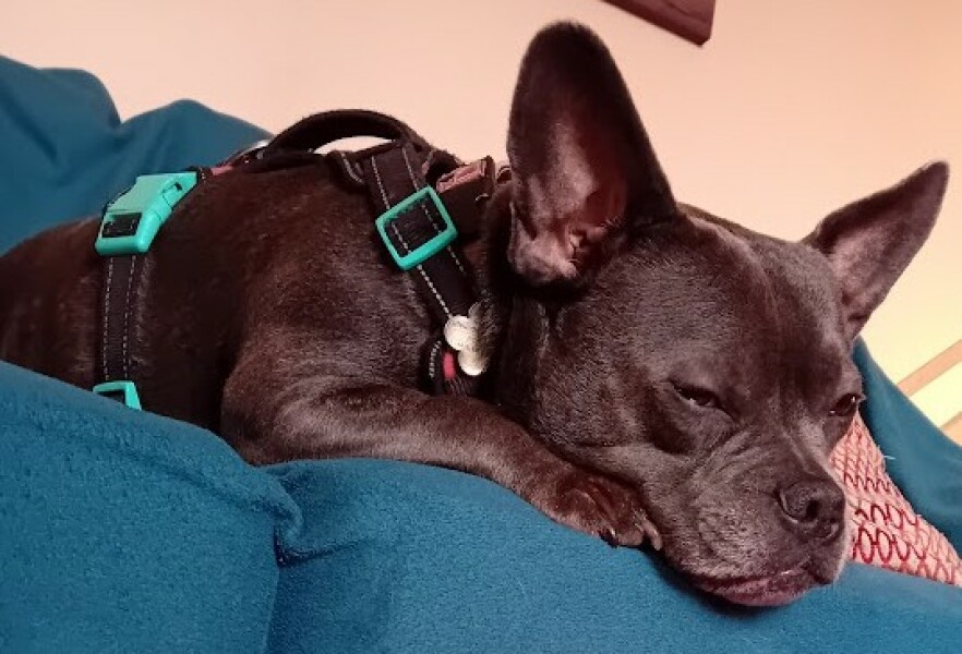 The Continuing Support Thread for Anyone Trying to Lead an Alcohol-Free Life Winter 2024