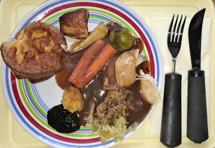 The Bluestocking: the one where AI finally learns what a blackbird is (we hope)