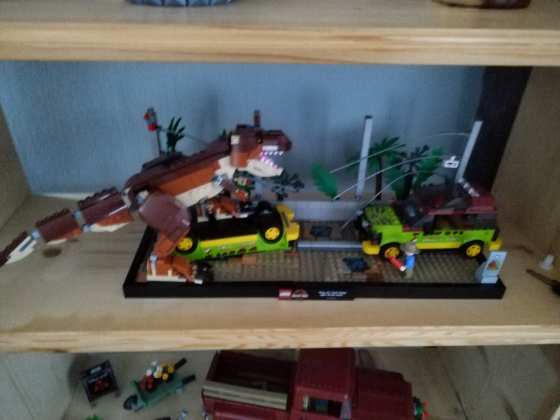 To show me your Lego collection?
