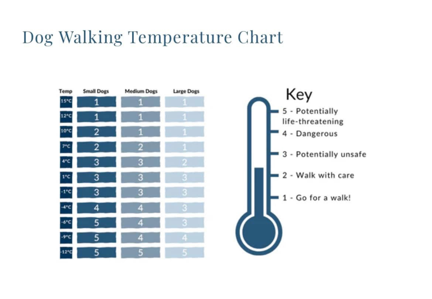 Are you walking your dogs in this weather?