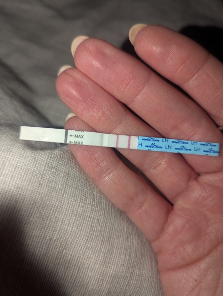 Opk test - nearly positive