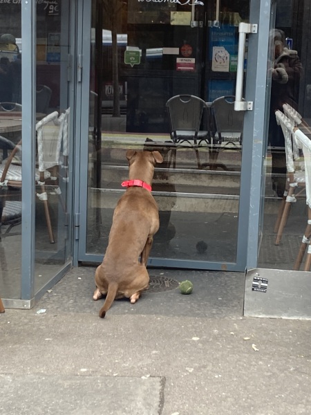 The Nigel Slater Christmas Chronicles Readalong 2024 Part 3