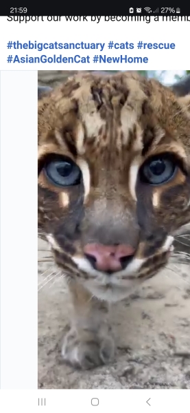 Thread 17: Starmer: Treading softly.