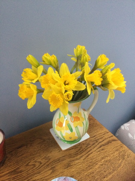 Thread 15 Starmer - Nolite te bastardes carborundorum