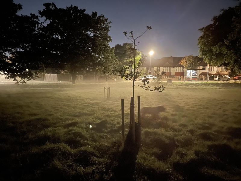 Would you walk through a foggy wood at night for 1k?