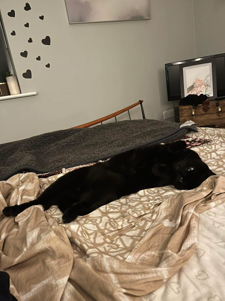 How does any couple ever sleep in a standard sized double???