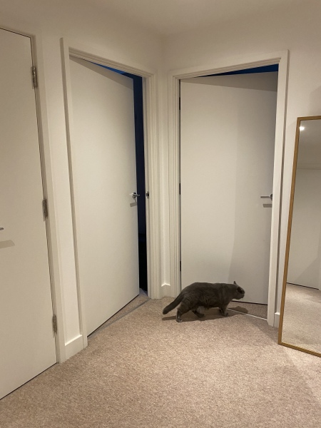 What Little Greene paint to go with my ugly carpet