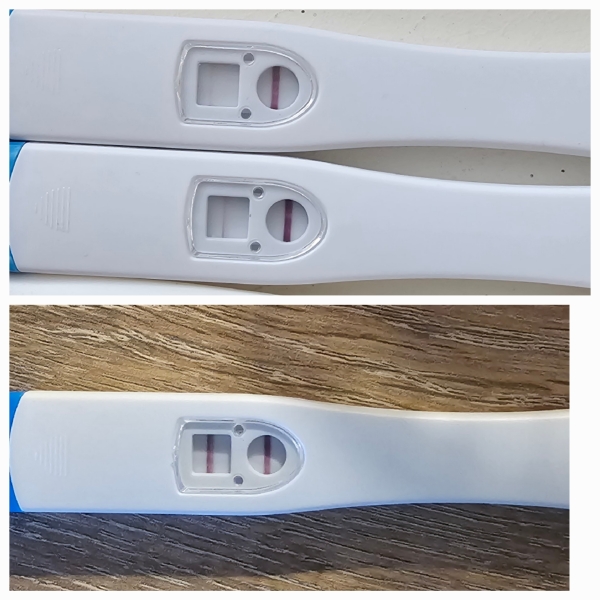 IVF/ICSI/FET December 2024