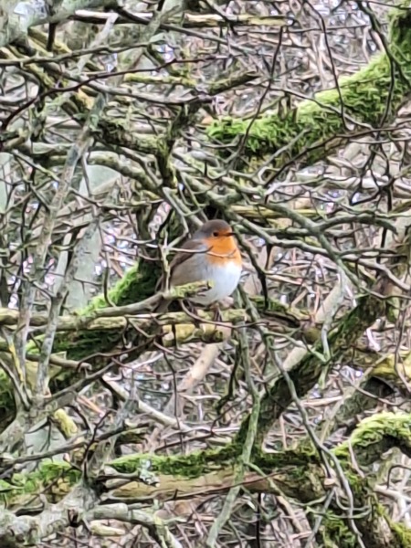 Visited dream house again today. Manifesting hard!