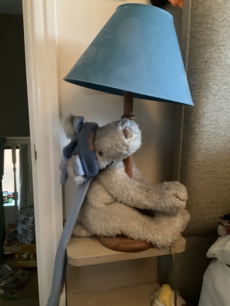 Does anyone remember this plush dog from Portugal?