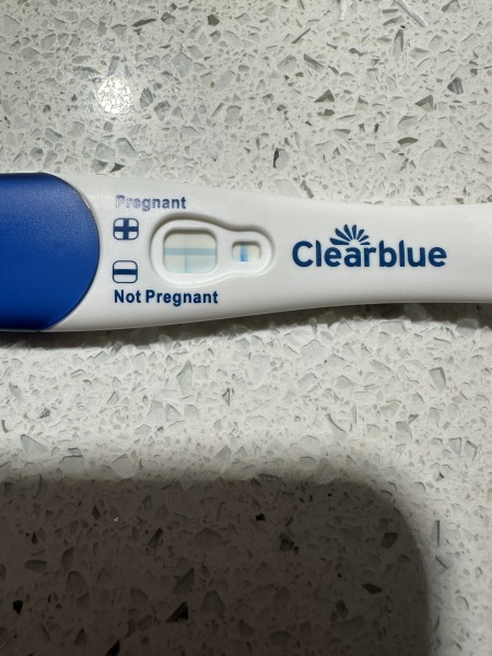 Pregnant or evap line? Husband has had vasectomy!