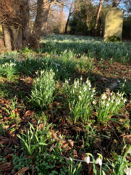 The Nigel Slater Christmas Chronicles Readalong 2024 Part 3