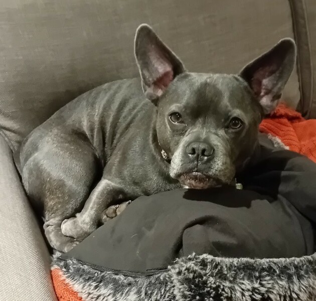 The Continuing Support Thread for Anyone Trying to Lead an Alcohol-Free Life Winter 2024