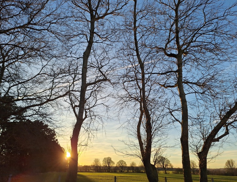 The Nigel Slater Christmas Chronicles Readalong 2024 Part 3