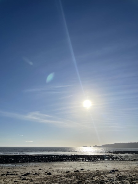 Week 2 - Jan '25 Low Carb (Dry) Bootcamp