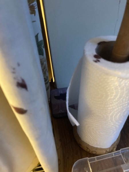 I would actually like a rational explanation for this...