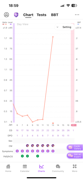 January TTC Support Group 💚