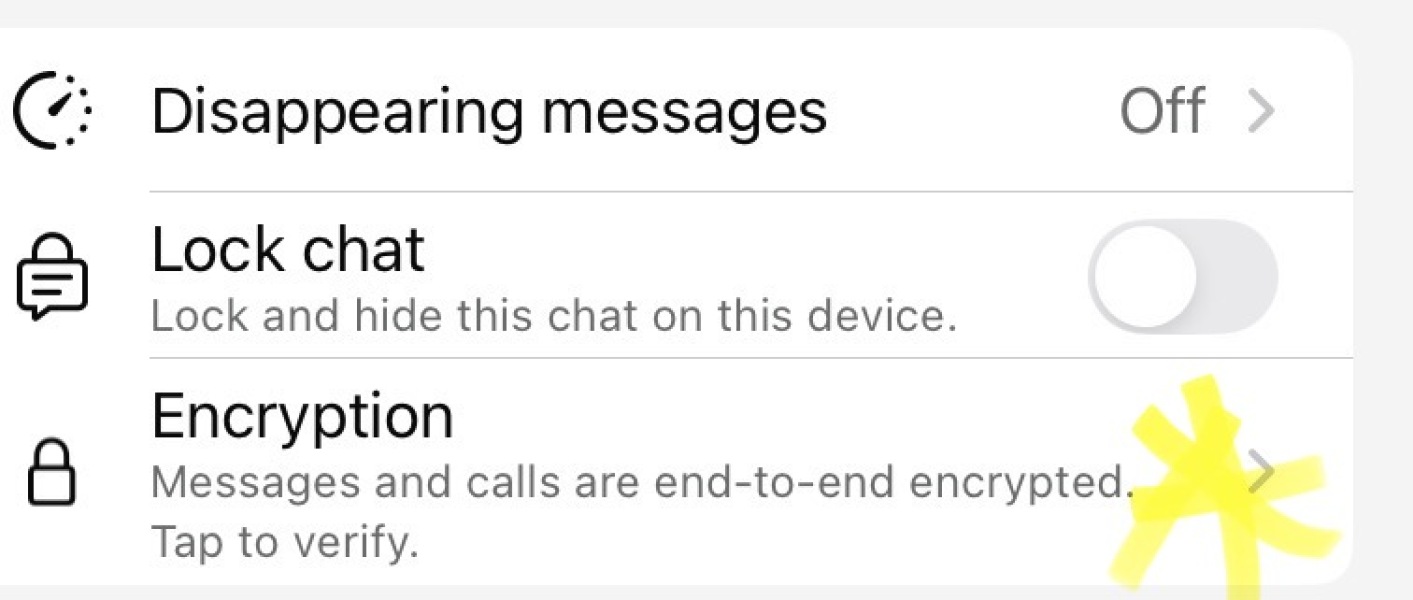 Husbands Encrypted WhatsApp with Female Colleague