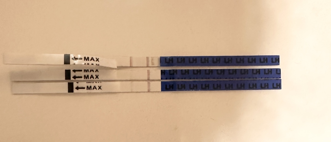 Ovulation advice please!