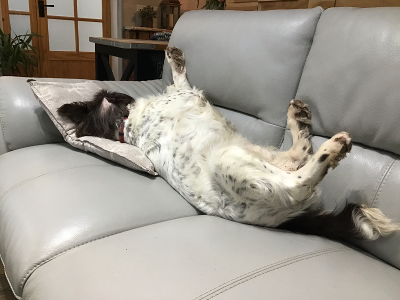 Thread 14 Starmer - The Starmeristas Strike Back