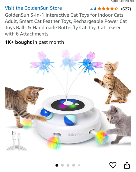 Show me your best kitten toys please!