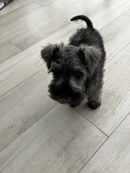 Archers thread #178: Ambridge or Scambridge? Discuss The Archers here.