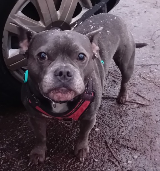 The Continuing Support Thread for Anyone Trying to Lead an Alcohol-Free Life Winter 2024