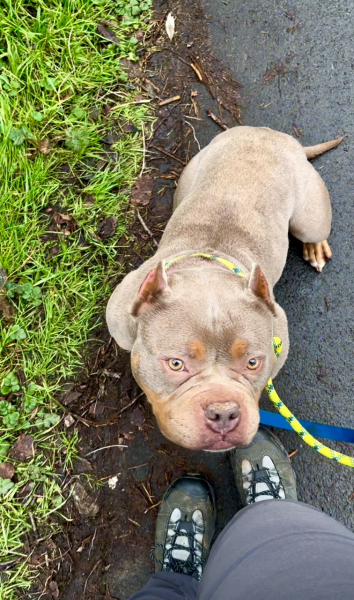 Thread 15 Starmer - Nolite te bastardes carborundorum