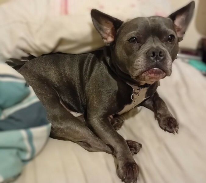 The Continuing Support Thread for Anyone Trying to Lead an Alcohol-Free Life Winter 2024