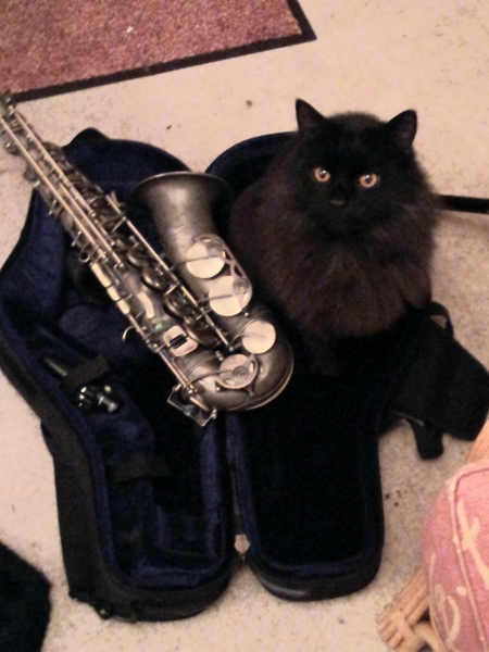 Ring Out, Wild Bells! As 2025 approaches, the Excellent Cats raise their game with a discussion on Tennyson's poetry