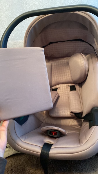 Egg cat seat insert- help