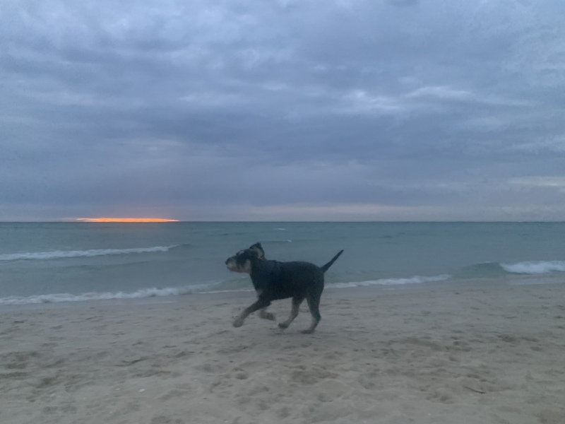 The Great Cancer Recovery part 3