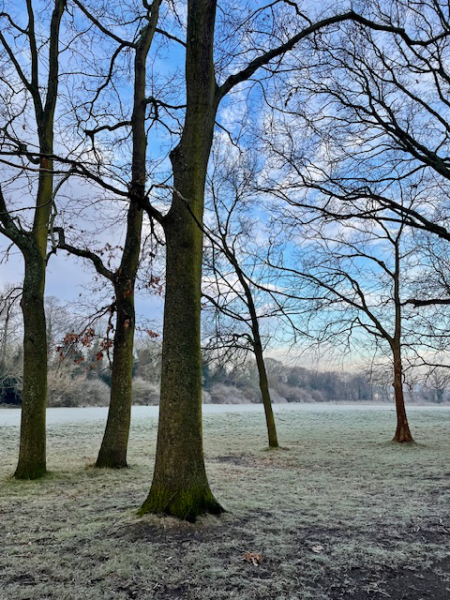 The Nigel Slater Christmas Chronicles Readalong 2024 Part 3
