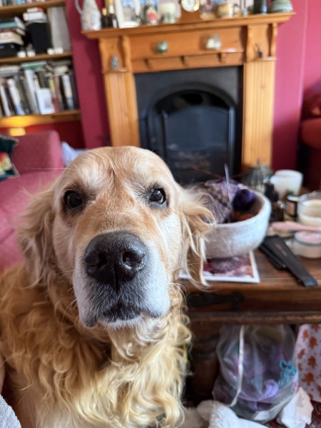 Cancer Support Thread 96: It’s nearly Christmas - get the sprouts on.