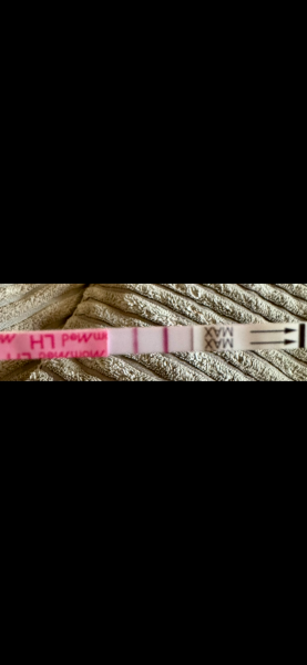 Jan 27th Ovulation Week Group