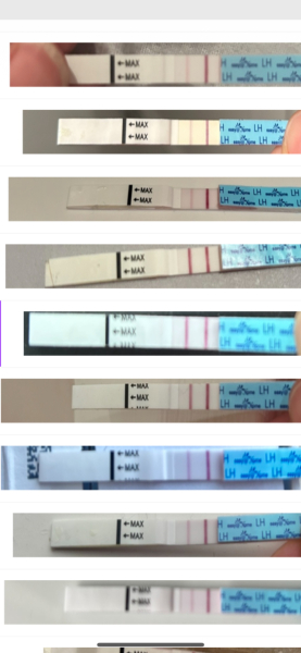 February TTC Support Group