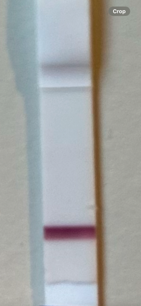 Anyone 9dpo or there about?