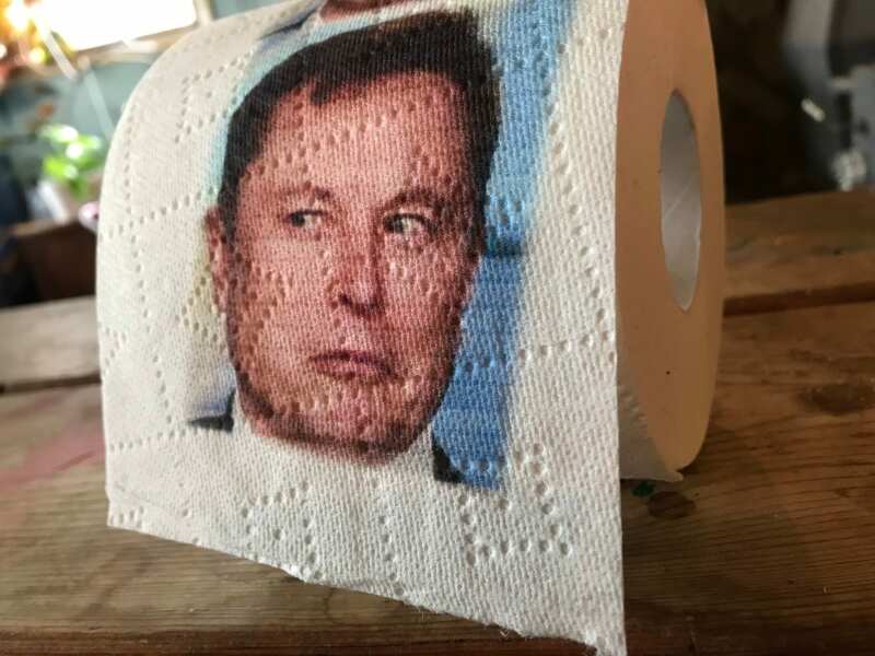 Elon Musk and Racism