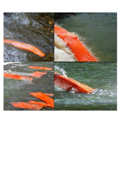 Emma Hilton vs ChatGPT - transgender men should freeze their sperm before transing!?!