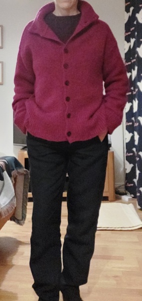 No/low buy 2025 shop from wardrobe