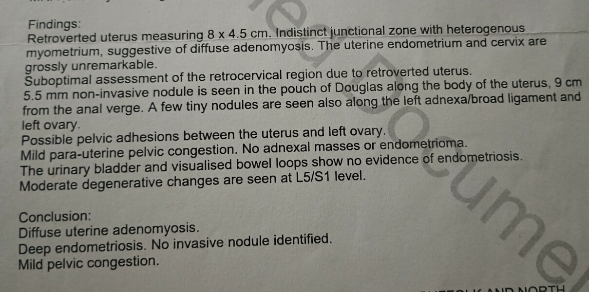 I am truly at a loss as to what is causing all of my health issues? Can anyone help?