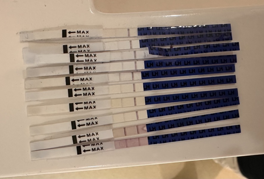 Ovulation - have I peaked?