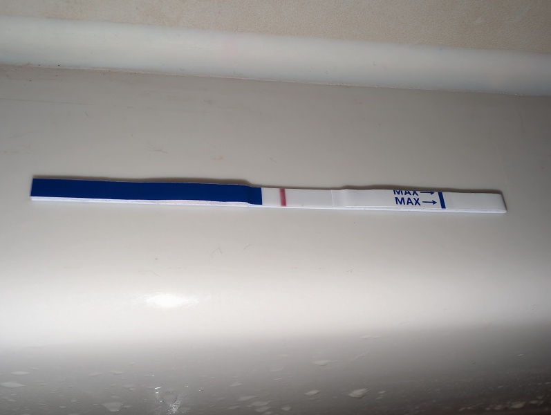 12 days late, BFN, positive opk