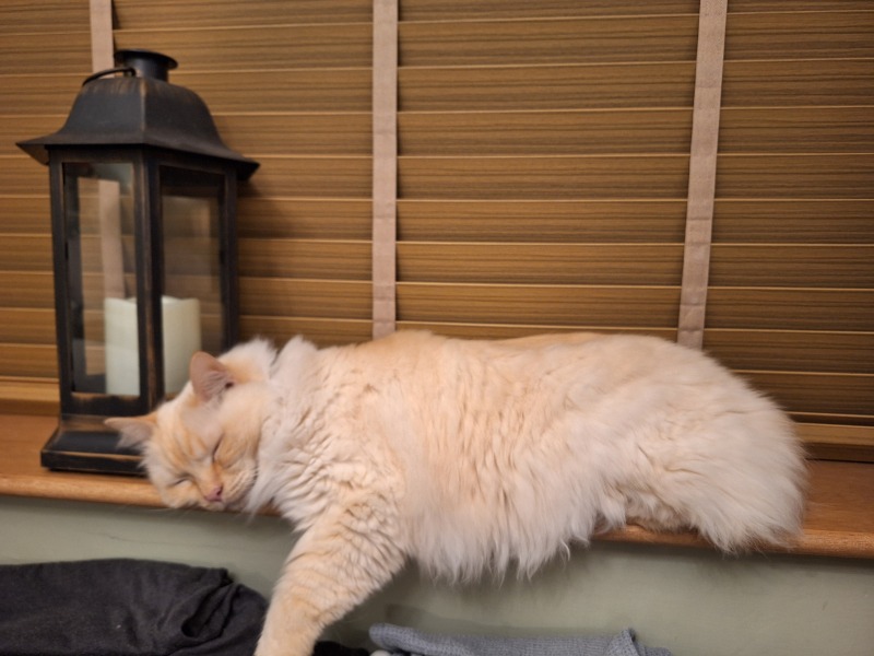 The Nigel Slater Christmas Chronicles Readalong 2024 Part 3