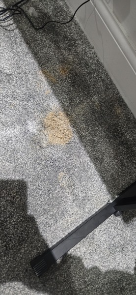 Foundation on carpet!